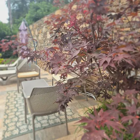 Rez De Avec Piscine Privee, Wifi, Jardin Cloture Apartament Penta di Casinca