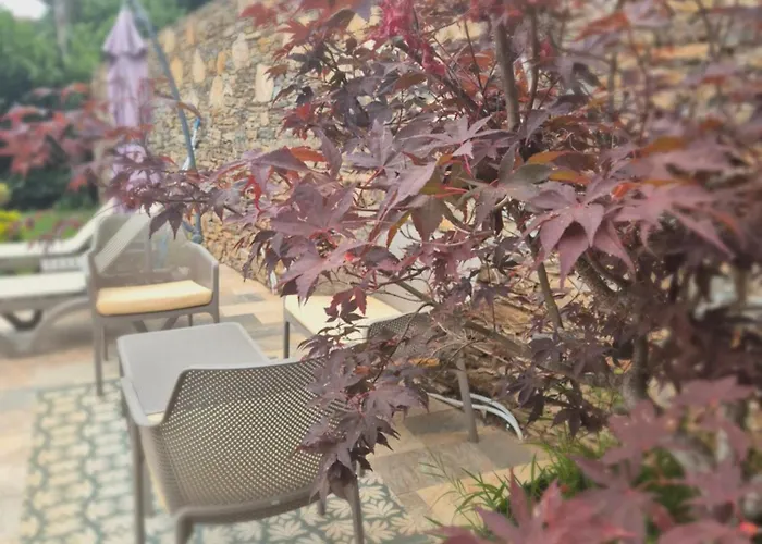 Rez De Avec Piscine Privee, Wifi, Jardin Cloture Appartement Penta di Casinca